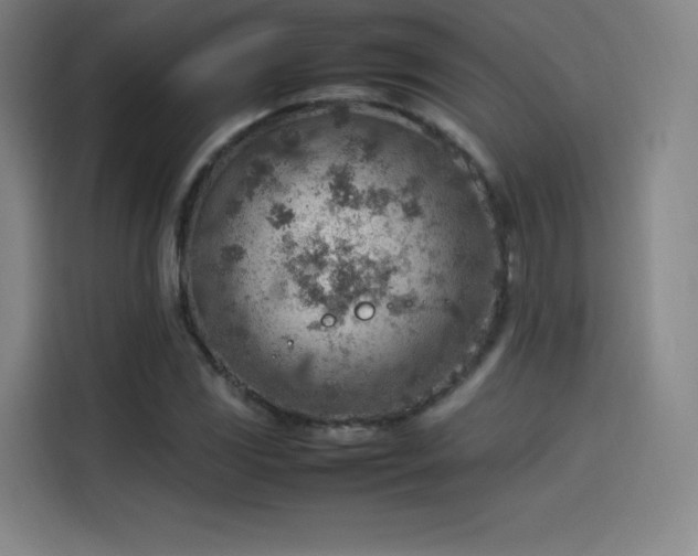 X0000114221117200910161302