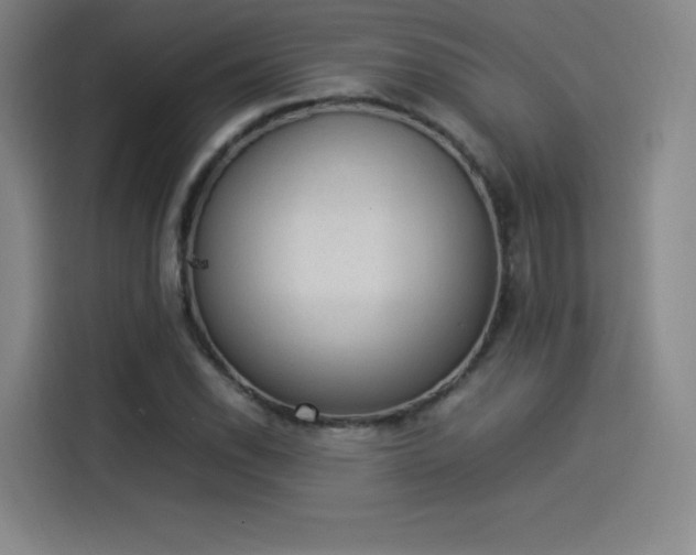 X0000114221118200910161302