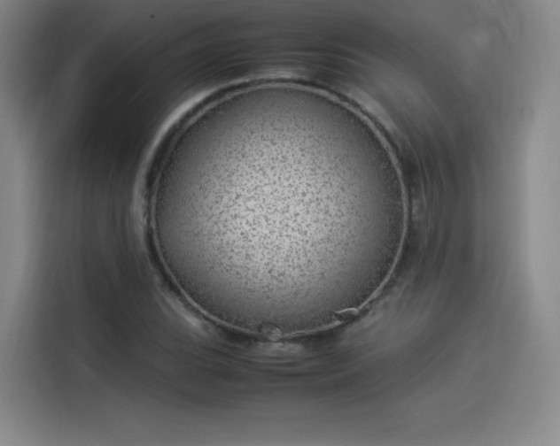 X0000114221119200910161302