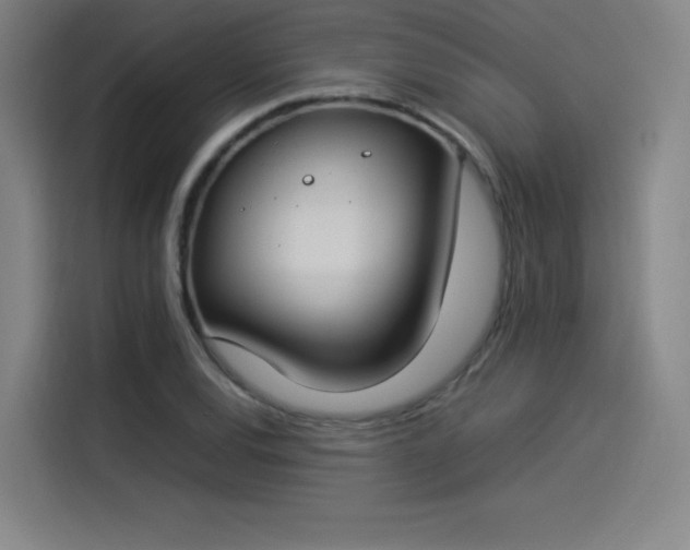 X0000114221120200910161302