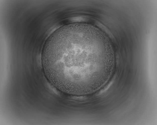 X0000114221121200910161302