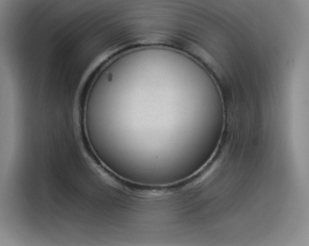 X0000114221122200910161302