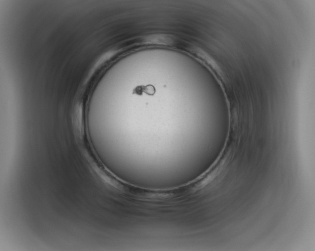 X0000114221123200910161302