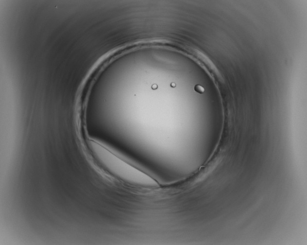 X0000114221124200910161302