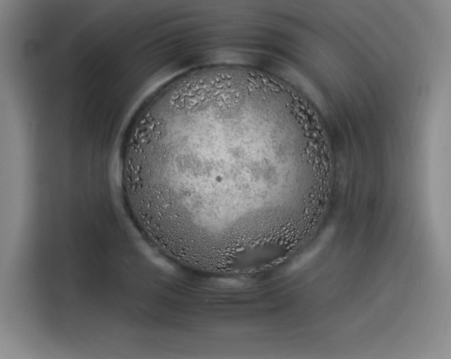 X0000114221125200910161302