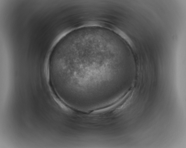 X0000114221127200910161302