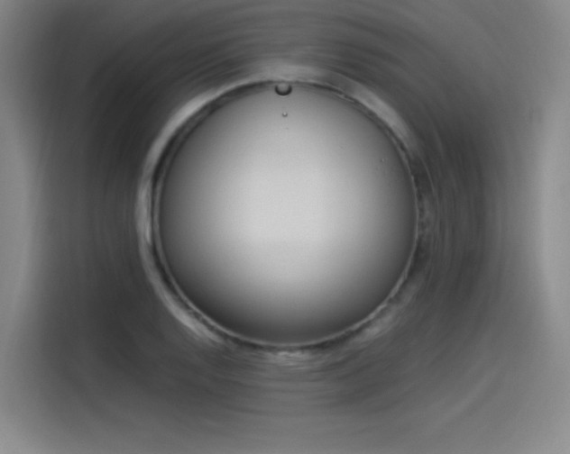 X0000114221128200910161302