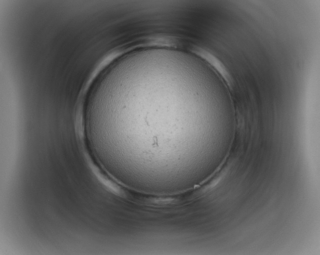 X0000114221131200910161302