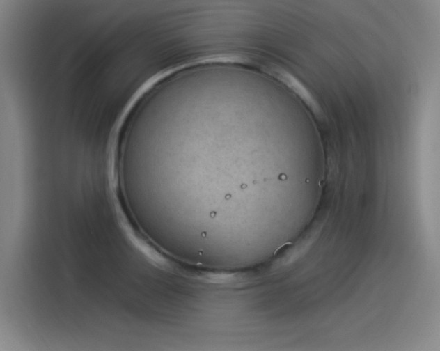 X0000114221132200910161302