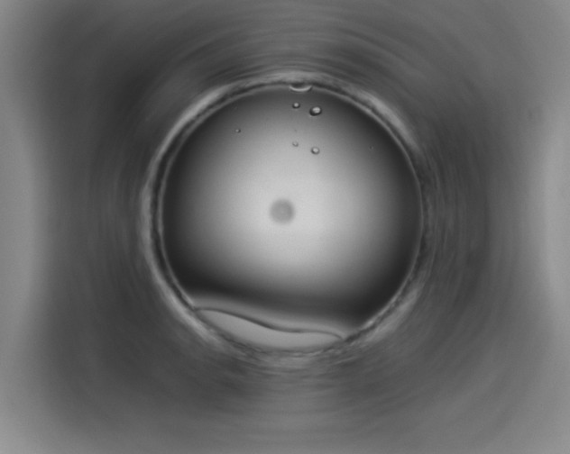 X0000114221134200910161302