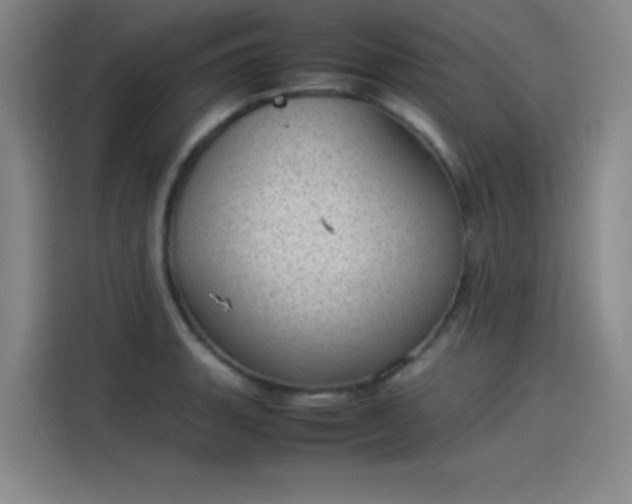 X0000114221135200910161302