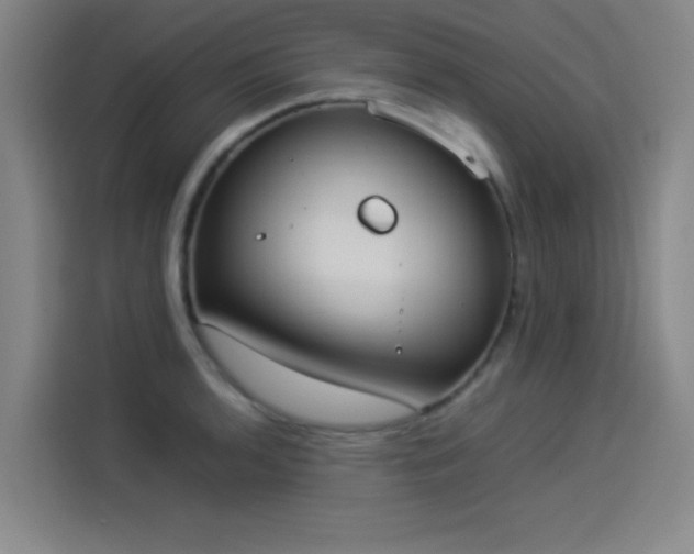 X0000114221136200910161302