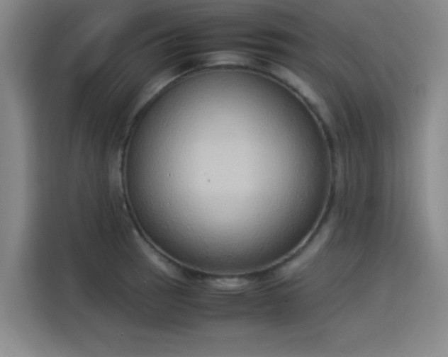 X0000114221137200910161302