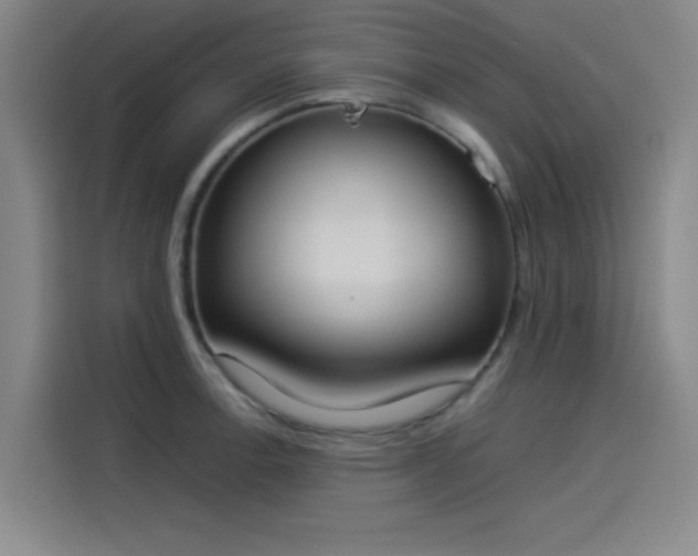 X0000114221138200910161302