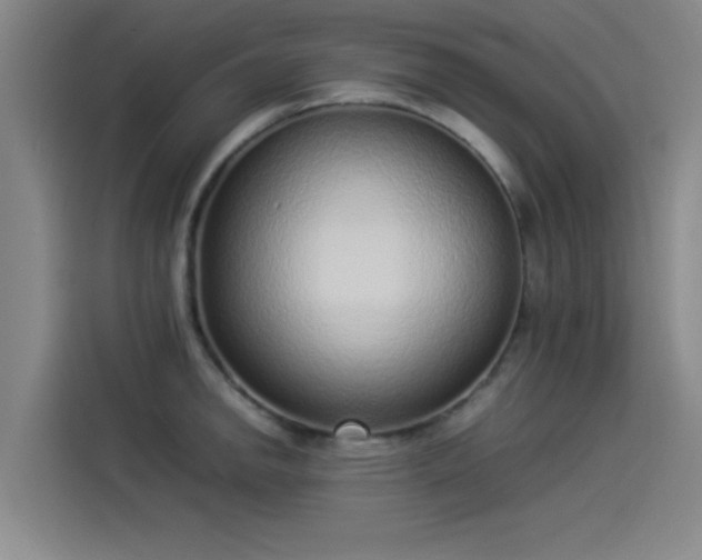 X0000114221142200910161302