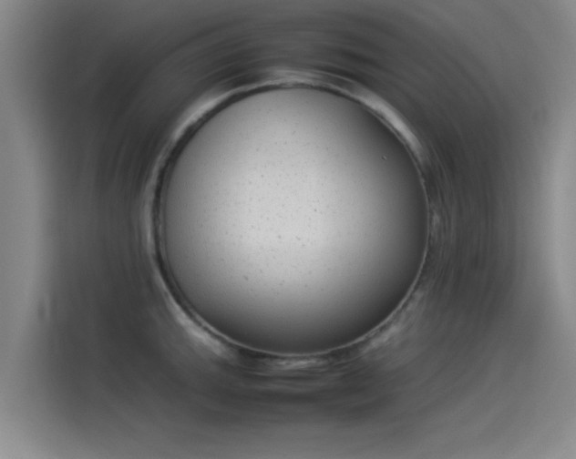 X0000114221143200910161302