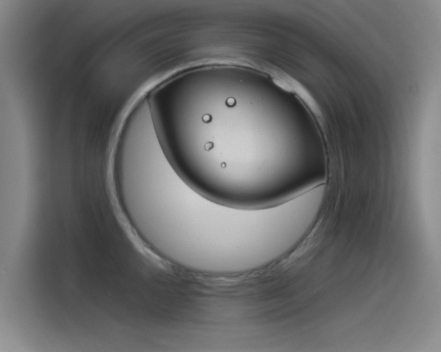 X0000114221144200910161302