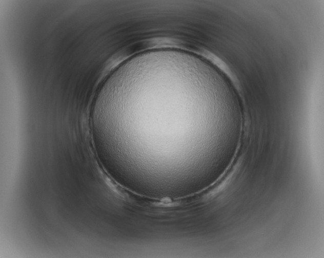 X0000114221145200910161302