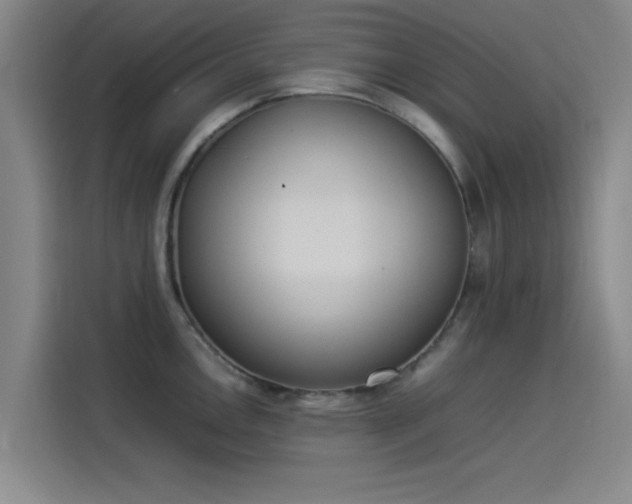 X0000114221146200910161302