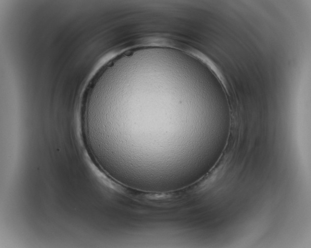 X0000114221147200910161302