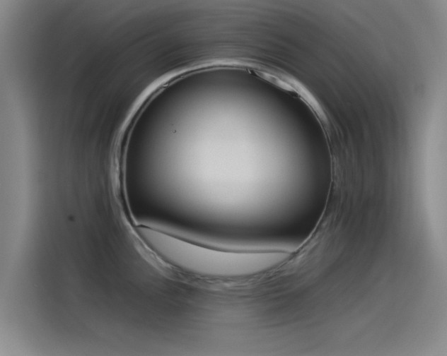 X0000114221148200910161302