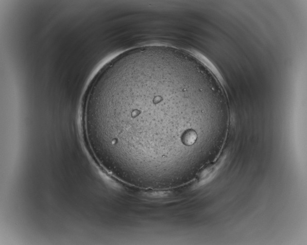 X0000114221149200910161302