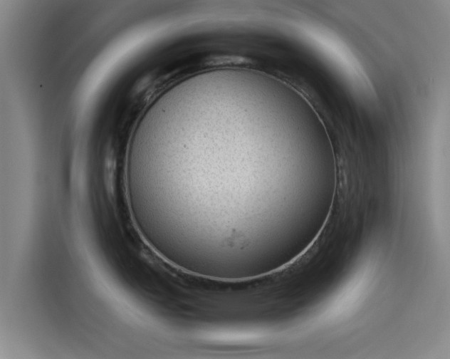 X0000114221151200910161302