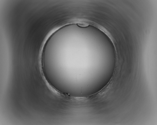 X0000114221152200910161302