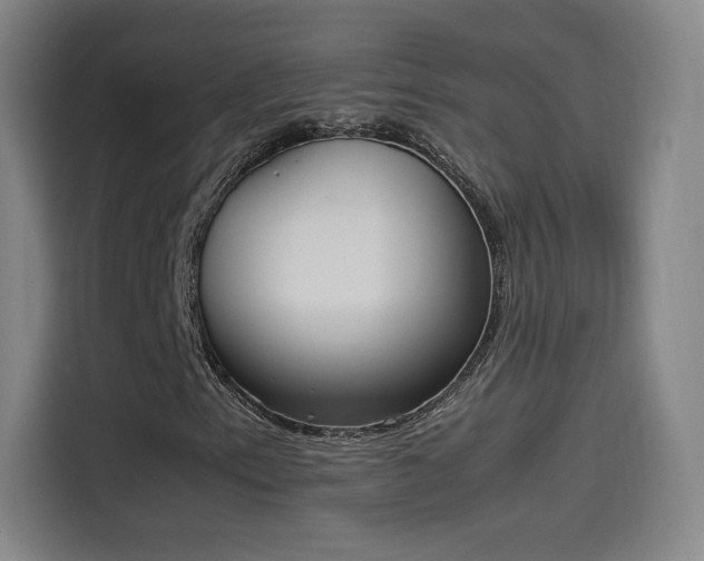 X0000114221153200910161302