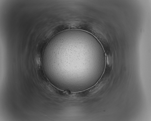 X0000114221155200910161302