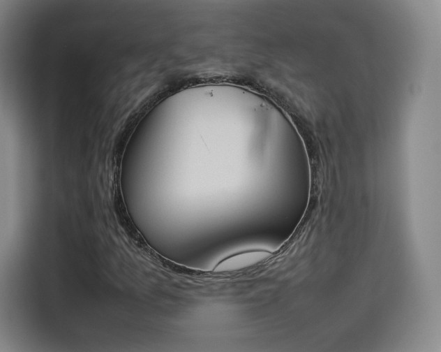 X0000114221157200910161302