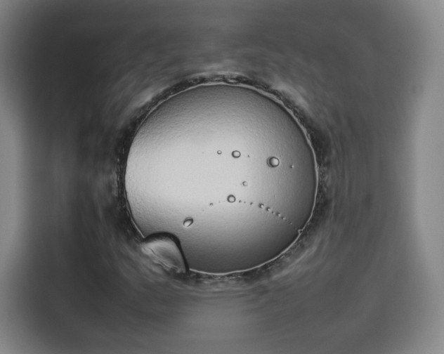 X0000114221159200910161302