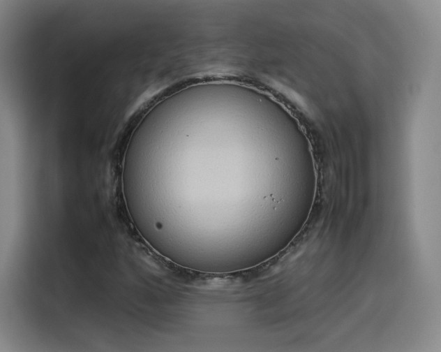 X0000114221160200910161302