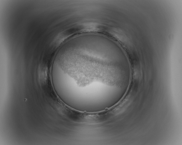 X0000114221161200910161302