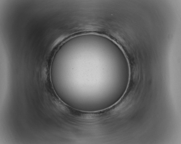 X0000114221163200910161302