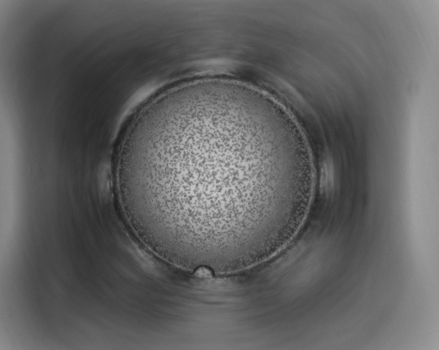 X0000114221164200910161302