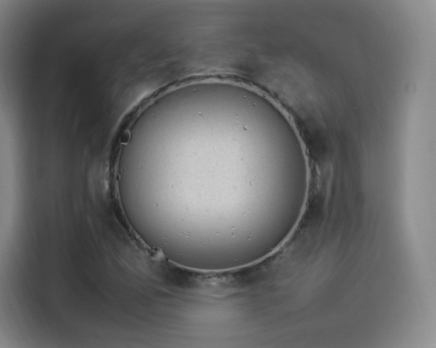 X0000114221165200910161302