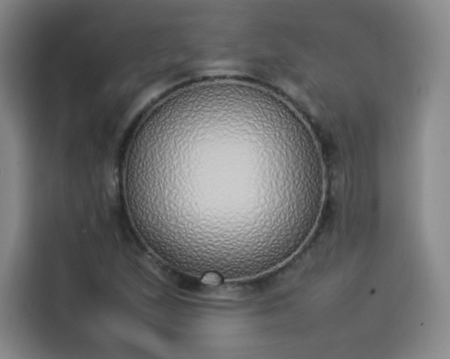 X0000114221167200910161301