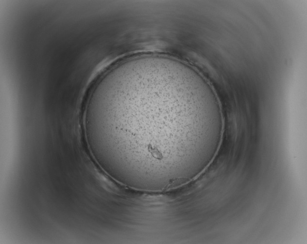 X0000114221168200910161301