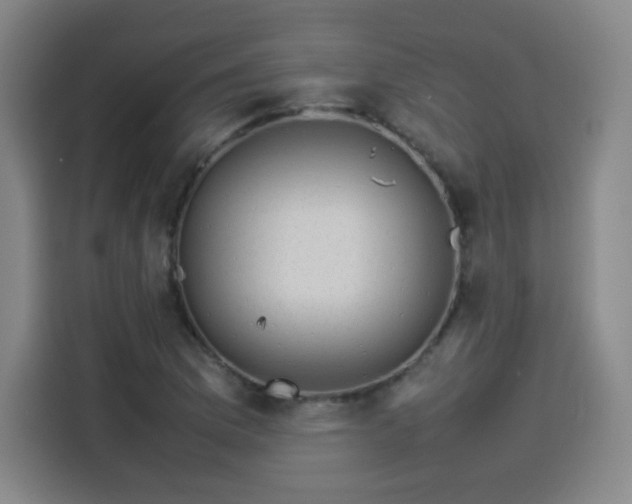 X0000114221169200910161301