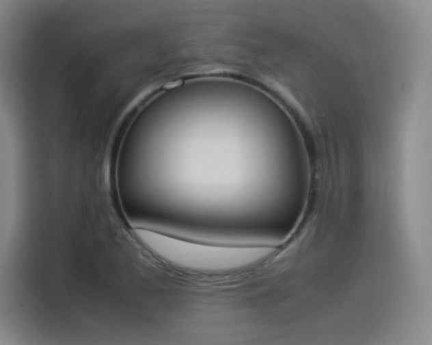 X0000114221173200910161301