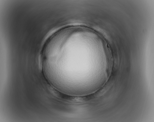 X0000114221175200910161301