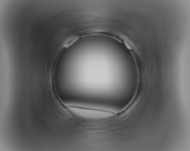 X0000114221177200910161301