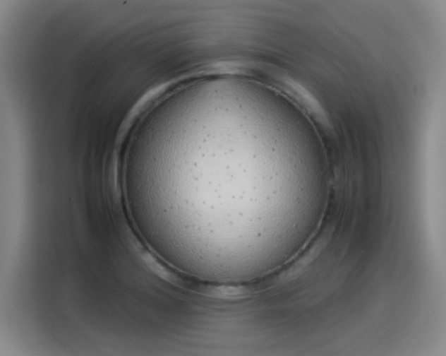 X0000114221180200910161301