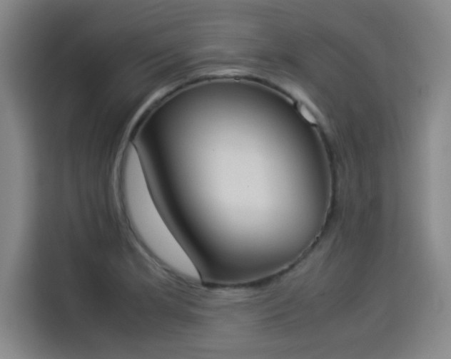 X0000114221181200910161301