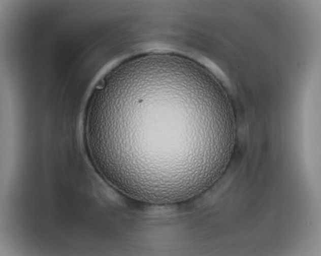 X0000114221183200910161301