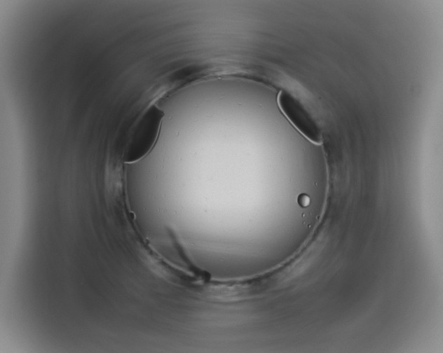 X0000114221185200910161301