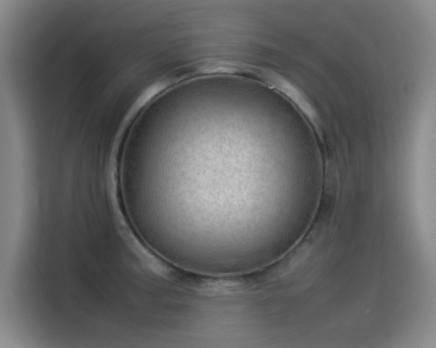 X0000114221187200910161301