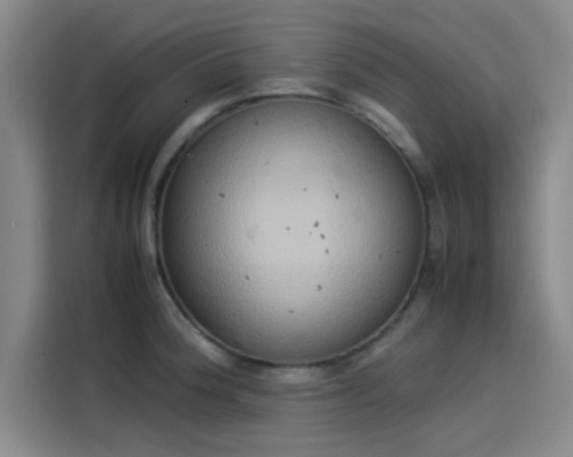 X0000114221188200910161301