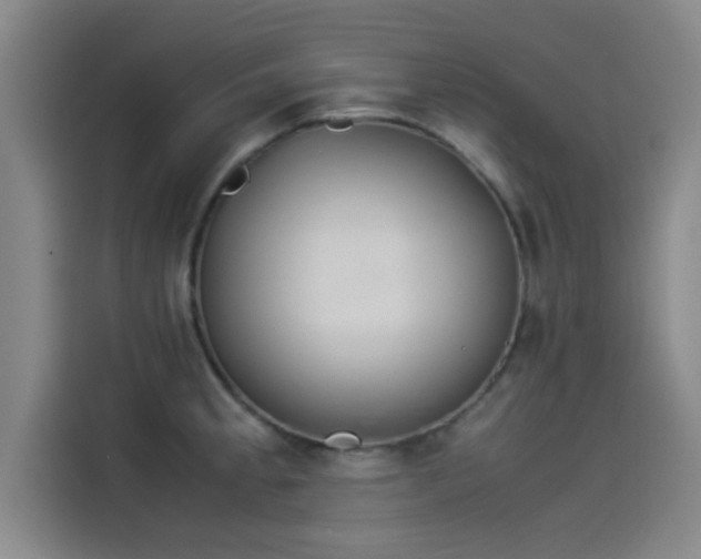 X0000114221189200910161301